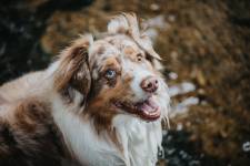 Marc-Glen LE CAVORZIN - MARC GLEN PHOTOGRAPHIE