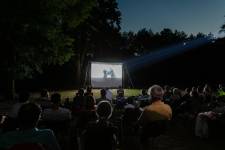 Alexis MESTRE - ALEXIS MESTRE