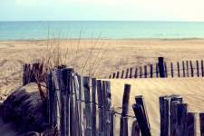 Elisabeth LAVALL - LAVALL ELISABETH