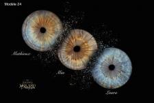 Jérémie MOLARO - F & F PHOTOGRAPHIE