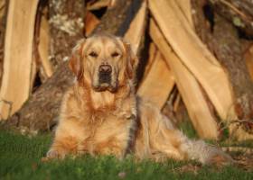 Carlos MATIAS - CJA FOTOGRAFIA